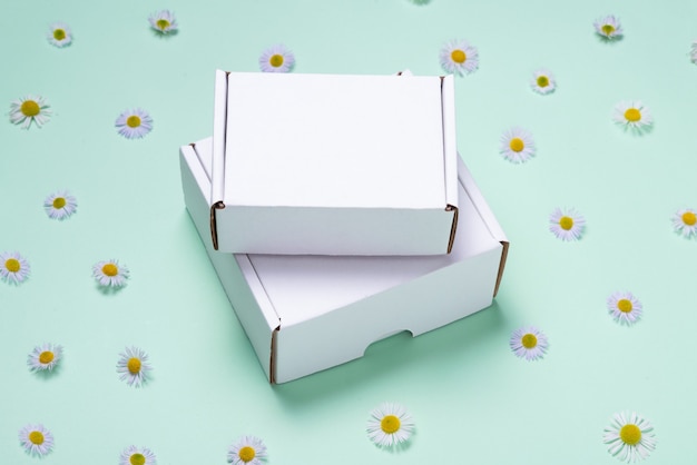 White cardboard box on color background decorated with fresh flowers