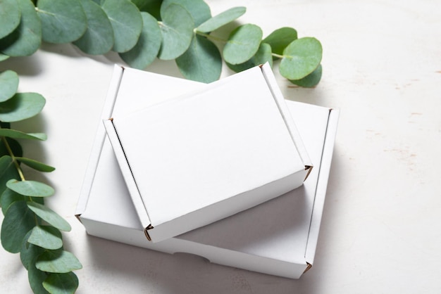 White cardboard carton box decorated with Eucalyptus green branch