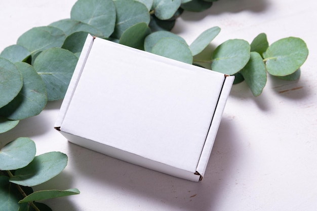 White cardboard carton box decorated with Eucalyptus green branch