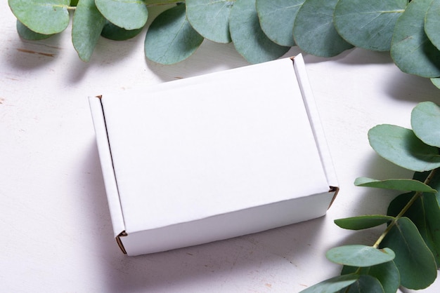 White cardboard carton box decorated with Eucalyptus green branch