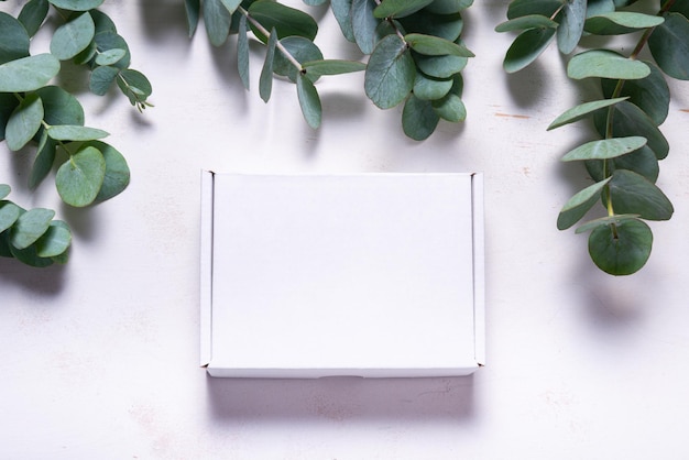 White cardboard carton box decorated with Eucalyptus green branch