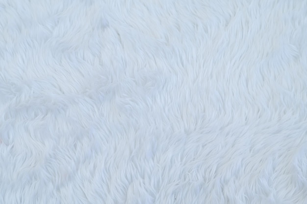 White carpet background fabric texturexA