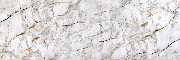 White Carrara Statuario and Thassos Satvario Marble Tiles Abstract Natural Texture for Interior