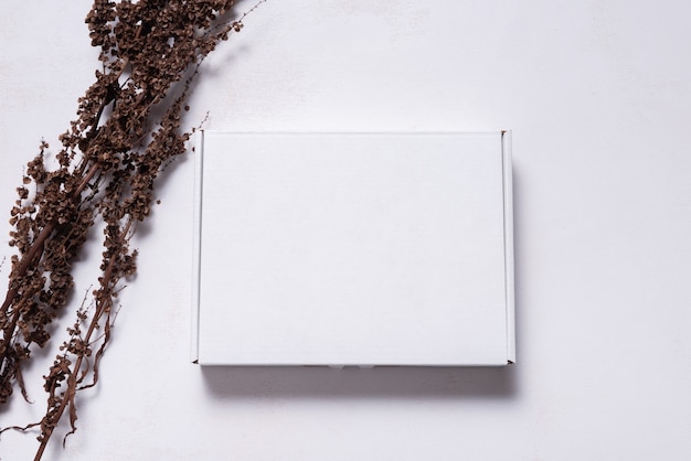 White carton cardboard box decorated with dried branch, mock up