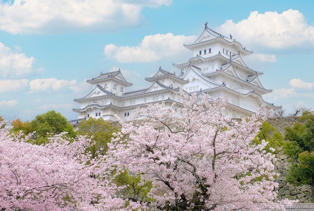 White castle himeji castle in cherry blooson sakura blooming in\
the front and blue sky