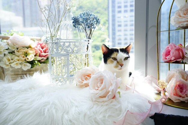 Photo white cat with flowers in vase
