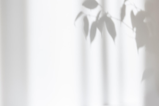 잎 식물의 회색 그림자가 있는 흰색 시멘트 질감 벽 여름 추상 배경 최소 개념 복사 공간 모형