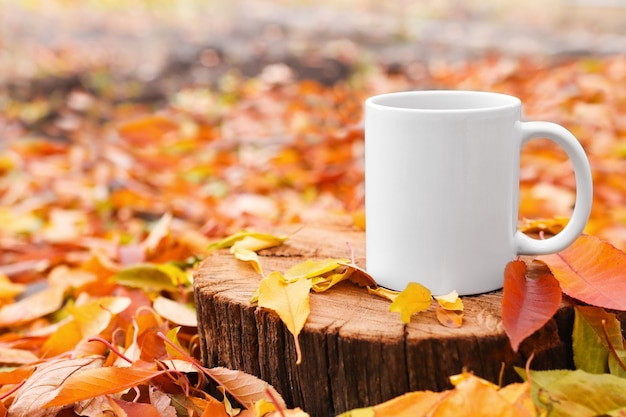 A white ceramic cup stands on a wooden podium among yellow and orange leaves outdoors