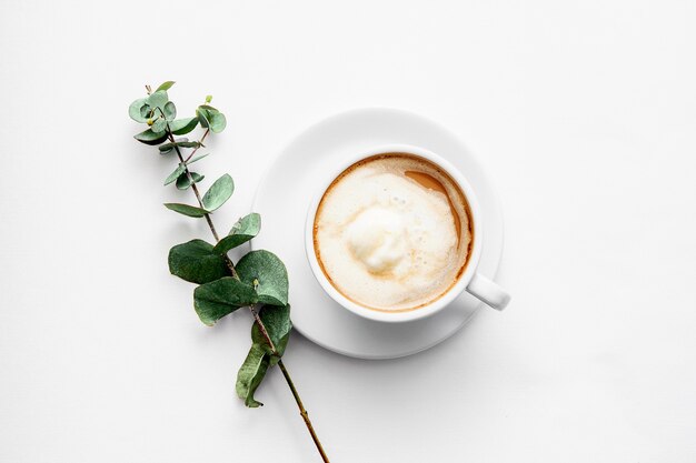 White ceramic cup with cappuccino and a green twig on a white background