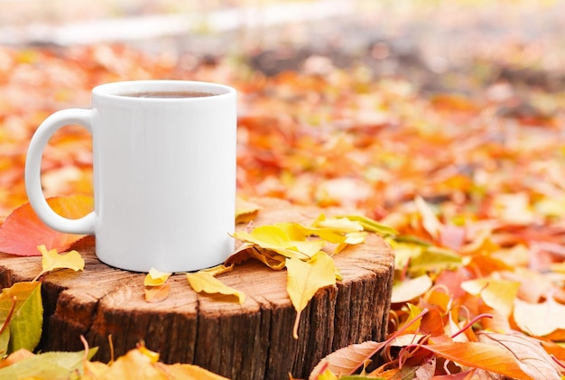 White ceramic mug closeup on a wooden background with colorful leaves autumn comfort hot tea