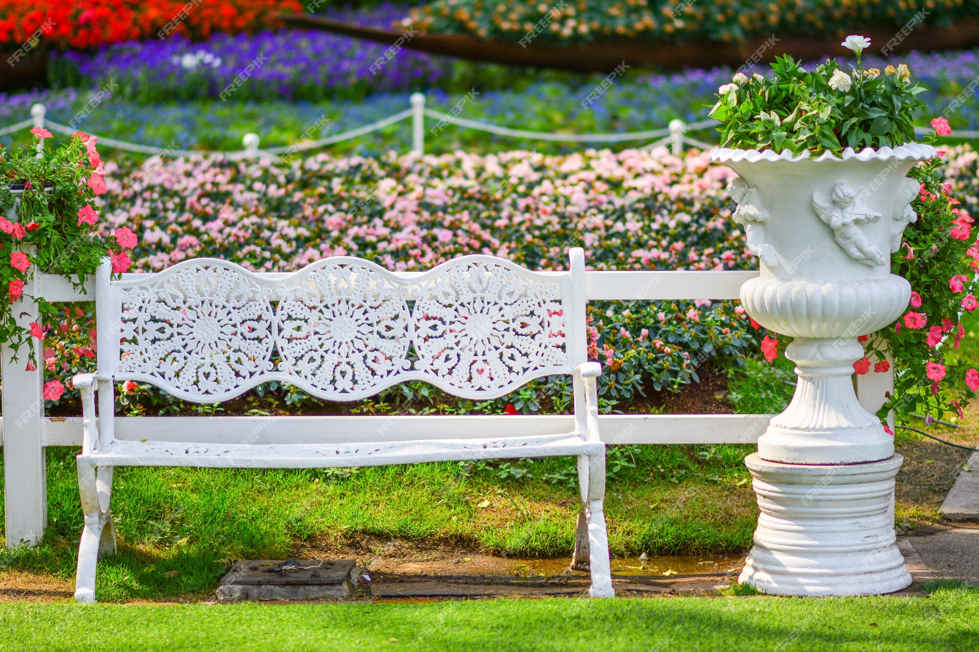 Premium Photo | White chair in the flowers garden.