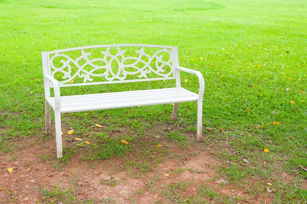 White Chair in the garden green grass background