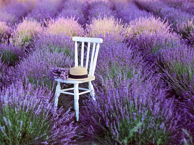 아름다운 라벤더 꽃이 핀 곳에 라벤더 꽃다발과 밀짚모자가 있는 흰색 의자.