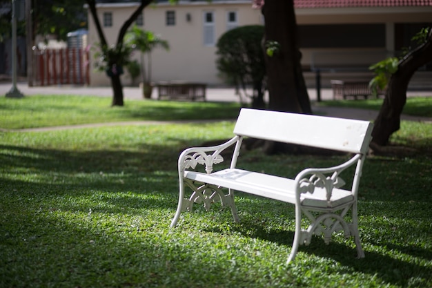 White chairs on lawn