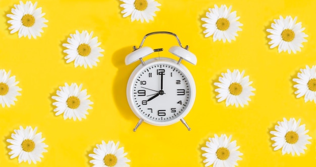 White chamomile and alarm clock on the yellow background closeup flat lay