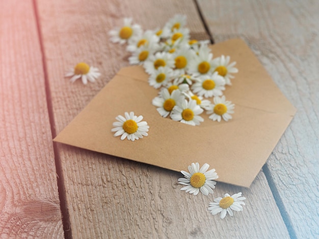 小さなクラフト紙の封筒に白いカモミールの花