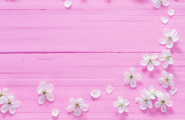 White cherry flowers on pink wooden surface