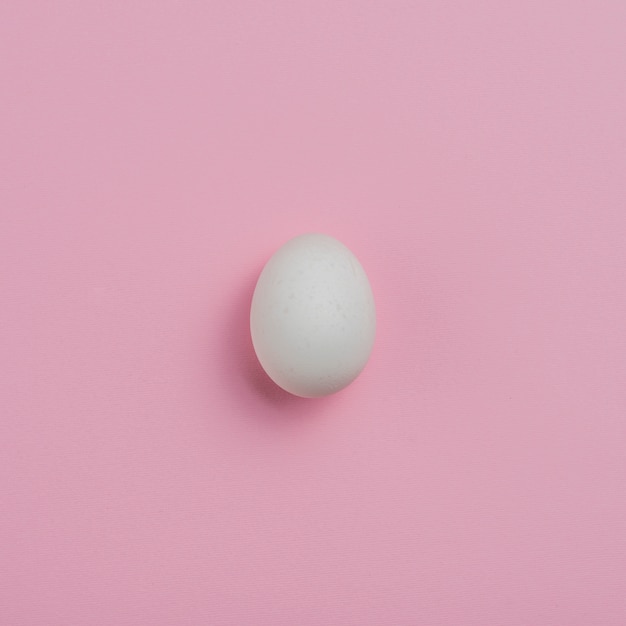 Photo white chicken egg on pink table