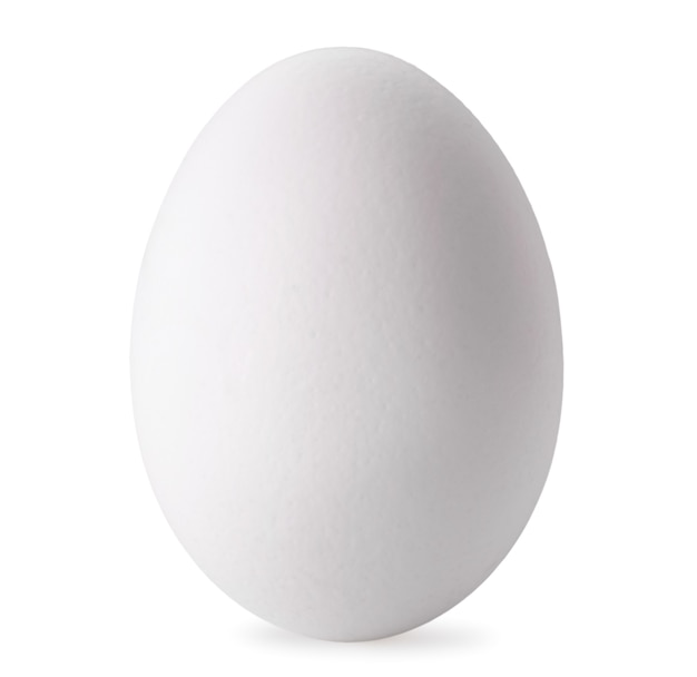 White chicken egg