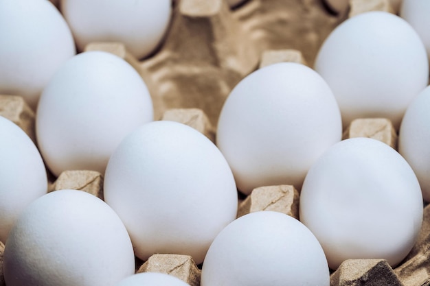 White chicken eggs in a cardboard box with empty space background