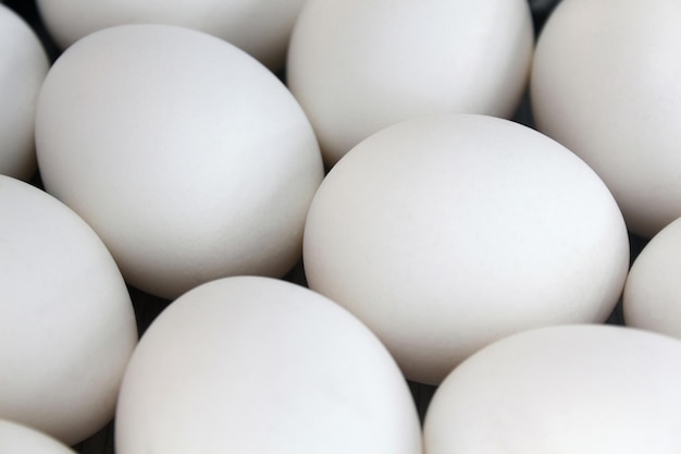 White chicken eggs close up