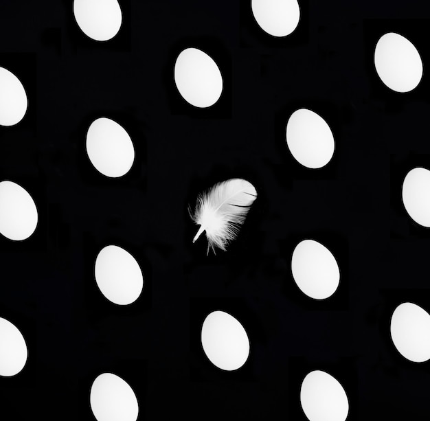 White chicken eggs and feather on the black background Flat lay Pattern