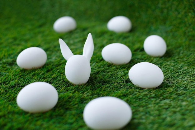 White chicken eggs on green grass behind which are hidden the ears of the Easter bunny which are symbols for the celebration of religious holiday among Christians and Catholics