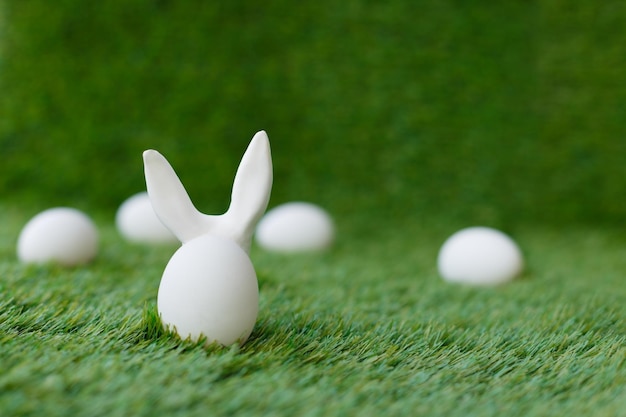 White chicken eggs on green grass behind which are hidden the ears of the Easter bunny which are symbols for the celebration of religious holiday among Christians and Catholics