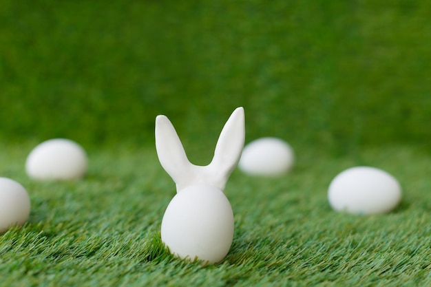 White chicken eggs on green grass behind which are hidden the ears of the Easter bunny which are symbols for the celebration of religious holiday among Christians and Catholics