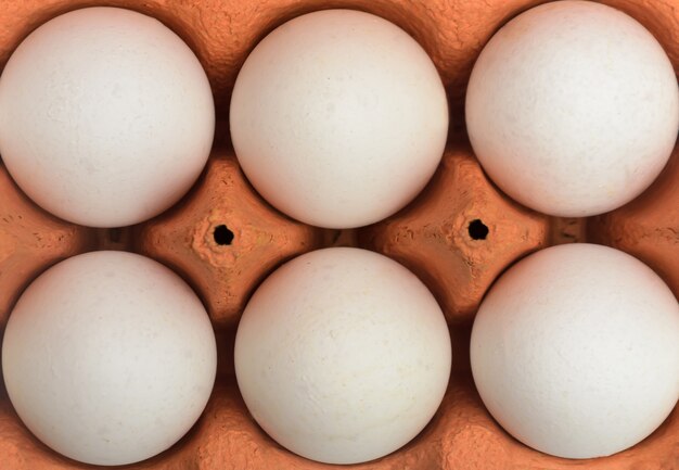 Фото Белые куриные яйца в картонной таре для хранения и транспортировки