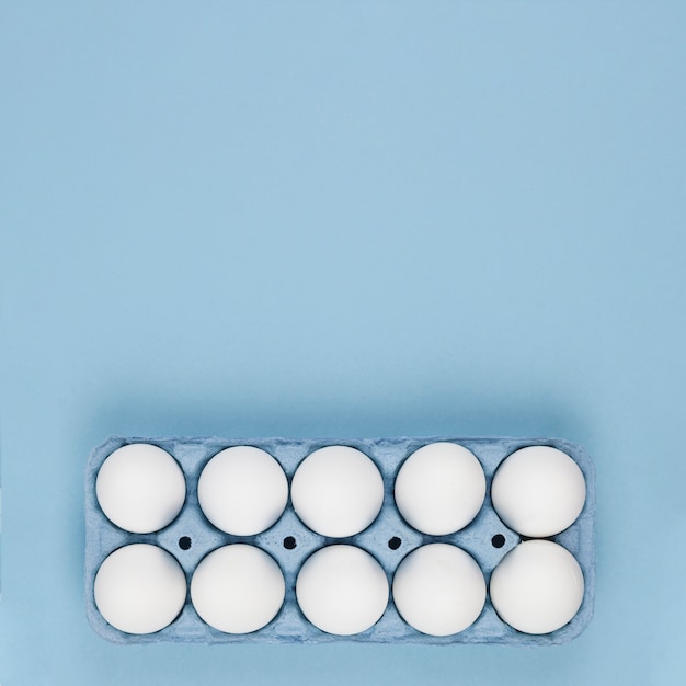 Photo white chicken eggs in rack on table