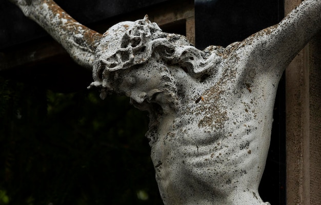 Photo white christ with traces of moss all over his body