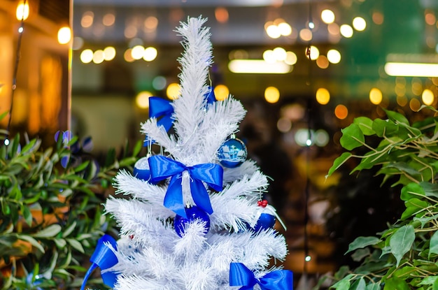 A white Christmas tree in a shop window.