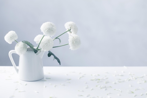 White chrysanthemums in jug on white background