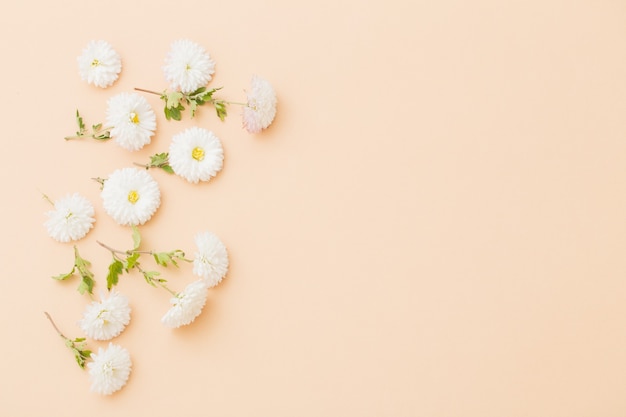 White chrysanthemums