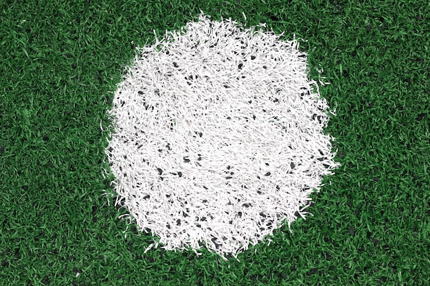A white circle on a green grass field