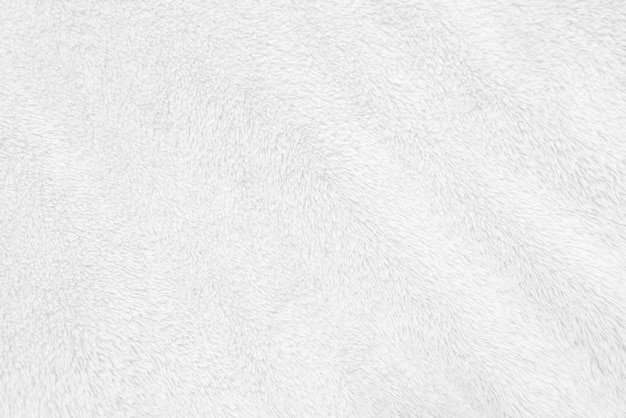 White clean wool texture background light natural sheep wool\
white seamless cotton texture of fluffy fur for designers closeup\
fragment white wool carpet