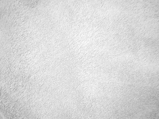 White clean wool texture background light natural sheep wool white seamless cotton texture of fluffy fur for designers closeup fragment white wool carpet