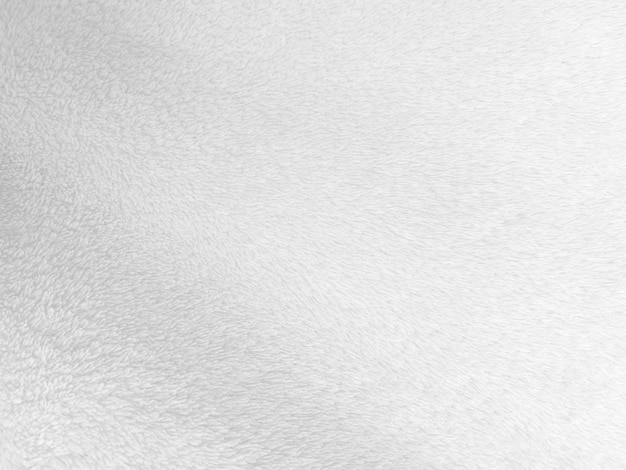 White clean wool texture background light natural sheep wool white seamless cotton texture of fluffy fur for designers closeup fragment white wool carpet