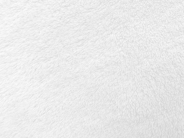 White clean wool texture background light natural sheep wool white seamless cotton texture of fluffy fur for designers closeup fragment white wool carpet