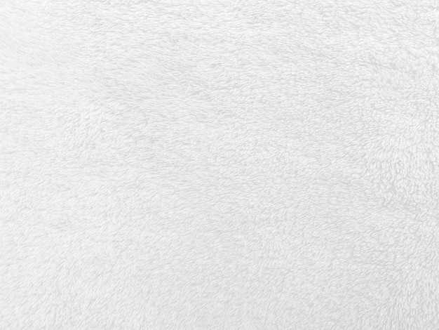 White clean wool texture background light natural sheep wool
white seamless cotton texture of fluffy fur for designers closeup
fragment white wool carpet