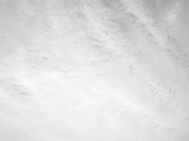 White clean wool texture background. light natural sheep wool