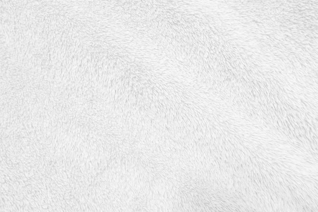 White clean wool texture background light natural sheep wool
white seamless cotton texture of fluffy fur for designers closeup
fragment white wool carpetx9