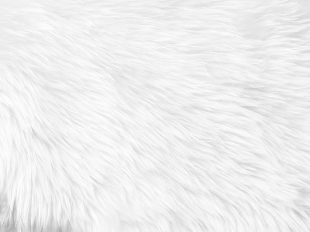 White clean wool texture background light natural sheep wool\
white seamless cotton texture of fluffy fur for designers closeup\
fragment white wool carpetx9