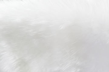 A seamless soft white fur texture