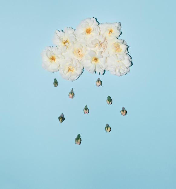 バラの花とつぼみで作られた白い雲と雨創造的な雨のアイデアバレンタインのコンセプト
