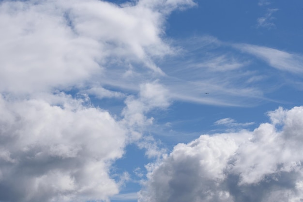 White clouds and blue sky and flying bird