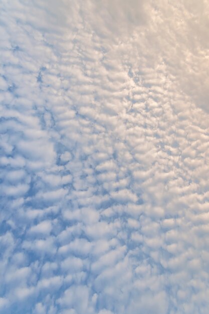 白い雲と青い空