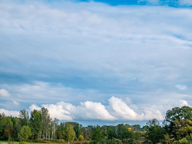 White clouds on the horizon on the trees