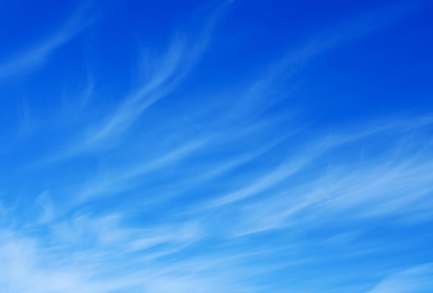 写真 青い空に白い雲